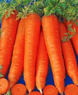 Carrot