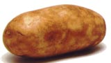 Potato